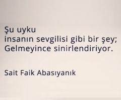 Read more about the article Sait Faik Hikayeleri; Yılan Uykusu
