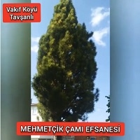 You are currently viewing Kütahya Efsaneleri; “Mehmetçik Çamı Efsanesi”